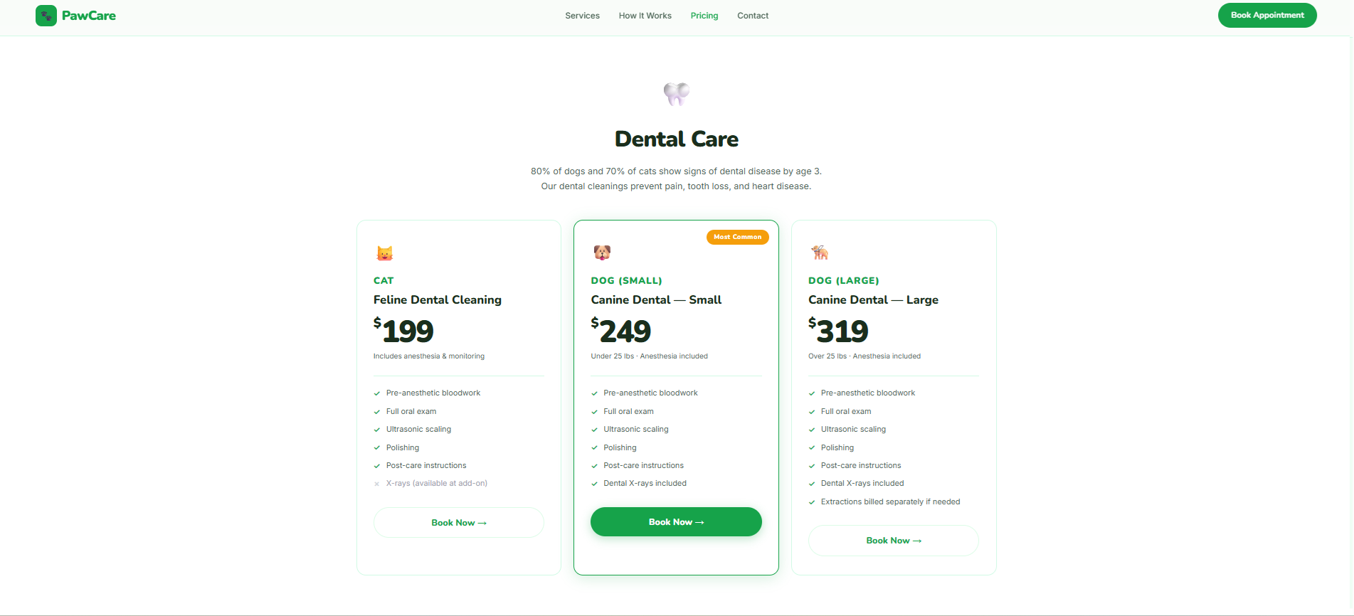 Dental Care Pricing